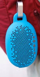 Boom Urchin Blue