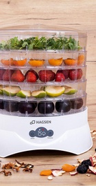 Hagsen DR420