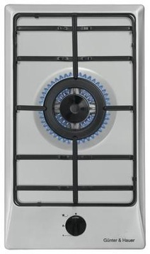 Gunter&Hauer GHD 31 IX