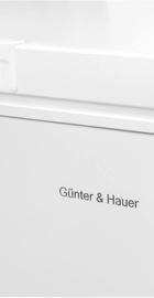 Gunter&Hauer GF 100