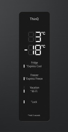 LG GC-B509FTZW