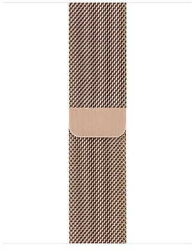 Apple Watch Series 5 GPS + Cellular 40mm Gold Stainless Steel Case with Gold Milanese Loop (MWWV2)