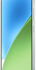 Xiaomi 15 12/256GB Green