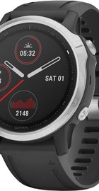 Garmin Fenix 6S Silver (010-02159-01)
