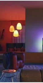 Philips 55PML9008