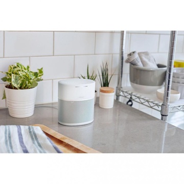 Bose Home Speaker 300 Luxe Silver (808429-2300)
