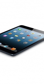 Apple iPad mini Wi-Fi LTE 32GB Black (MD541)