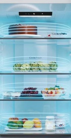 Candy ECN2CQTEW186