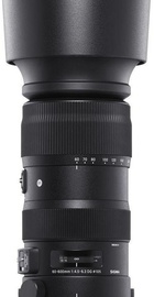 Sigma AF 60-600mm f/4,5-6,3 DG OS HSM sport (Nikon)
