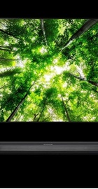 LG OLED65W8