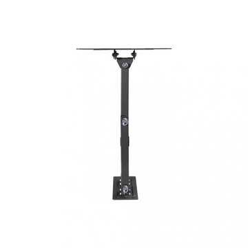 KIVI Motion-223