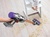 Dyson Cyclone V10 Absolute (394115-01)