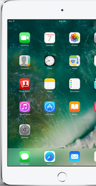 Apple iPad mini 4 Wi-Fi + Cellular 32GB Silver (MNWQ2, MNWF2)