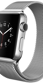 Apple Watch 38mm Stainless Steel Case with Milanese Loop (MJ322)