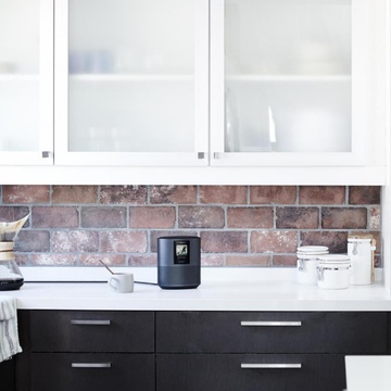Bose Home Speaker 500