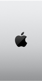 Apple MacBook Pro 16" Silver Late 2023 (MUW73)