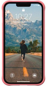 URBAN ARMOR GEAR iPhone 13 Dot Clay (11317V319898)