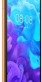 HUAWEI Y5 2019 2/16GB Amber Brown (51093SGX)