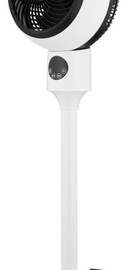 ARDESTO FNT-C880
