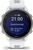 Garmin Forerunner 170 Music Whitestone with Whitestone/Cloud Blue Band (010-03920-11)