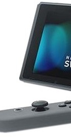Nintendo Switch with Gray Joy Con