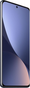 Xiaomi 12 12/256GB Gray (China)