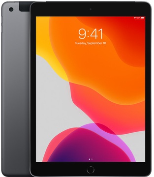Apple iPad 10.2-inch Wi-Fi + Cellular 128GB Space Gray (MW702, MW6E2)