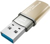 Transcend 64 GB JetFlash 820 TS64GJF820G