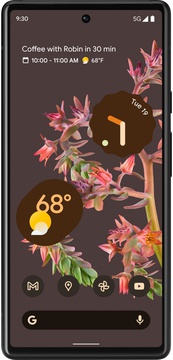 Google Pixel 6 8/128GB Stormy Black