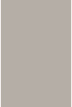 Savage Widetone TV Gray 2.72m x 11m