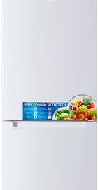 Skyworth SRD-489CBEW