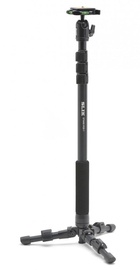 Slik Stand Pod