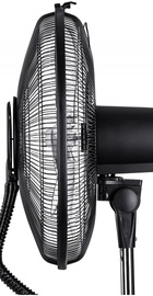 Ardesto FNM-X2G