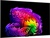 LG OLED55G6