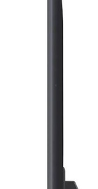 LG 43UQ8100