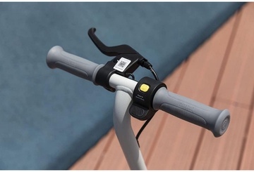 Ninebot eKickScooter ZING C8 (AA.00.0011.61)