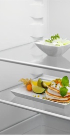 Electrolux ENT6NE18S