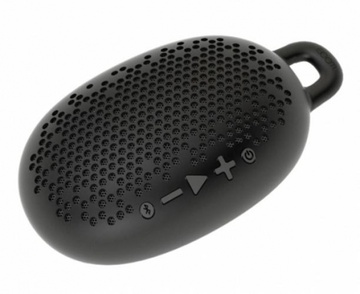 Boom Urchin Black