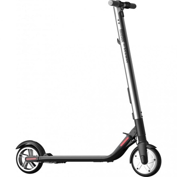 Ninebot by Segway ES2 Dark Grey (40.12.0000.60)
