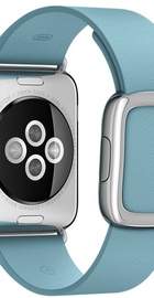 Apple Watch 38mm Stainless Steel Case with Blue Jay Modern Buckle (MMFC2)