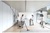 Dyson CY22 Cinetic Big Ball Absolute