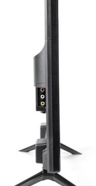 OzoneHD 19HN95T2