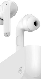 ZMI Purpods White TW101ZM