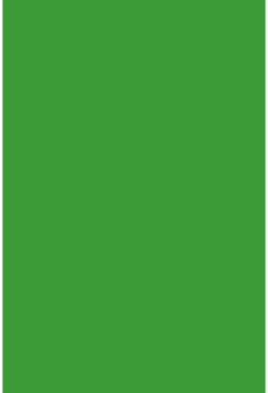 Savage Widetone Tech Green 2.72m x 11m