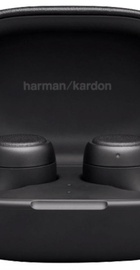 Harman-KardonНаушники TWS Harman/Kardon FLY TWS Black (HKFLYTWSBLK)