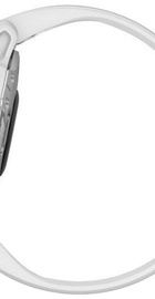Garmin Fenix 6S Silver/White (010-02159-00)