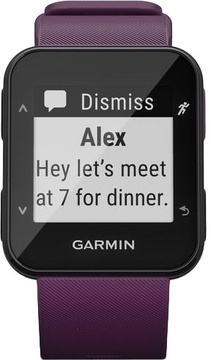 Garmin Forerunner 30 Amethyst (010-01930-05)
