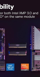 Crucial 32 GB (2x16GB) DDR5 6400 MHz Pro Overclocking (CP2K16G64C38U5B)