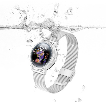 Linwear LW20 Metal с тонометром (Серебристый)