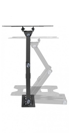 KIVI Motion-223